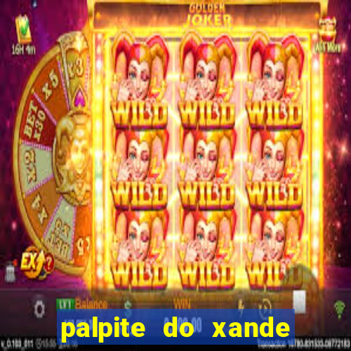 palpite do xande para hoje